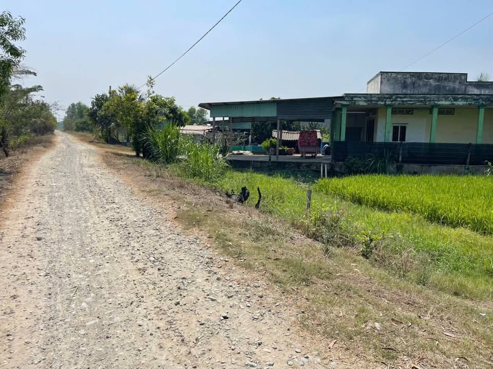 Đất nền Mỹ Hạnh Nam 450m² giá 2.5 tỷ - Sổ đỏ chính chủ