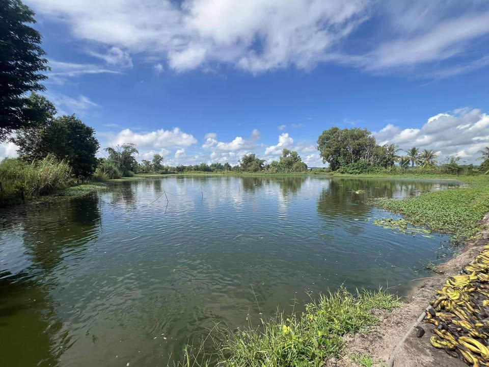 Đất Vườn Phú Thanh Tân Phú 7500m² 850 Triệu - Nghỉ Dưỡng Lý Tưởng!