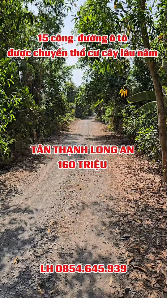 Đất nền Tân Thạnh Long An 16000m² - Đường to ô tô, pháp lý rõ ràng!