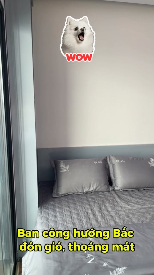 Thuê Căn Hộ Diamond Crown 33m² Giá 10 Triệu - Bàn Giao Ngay!