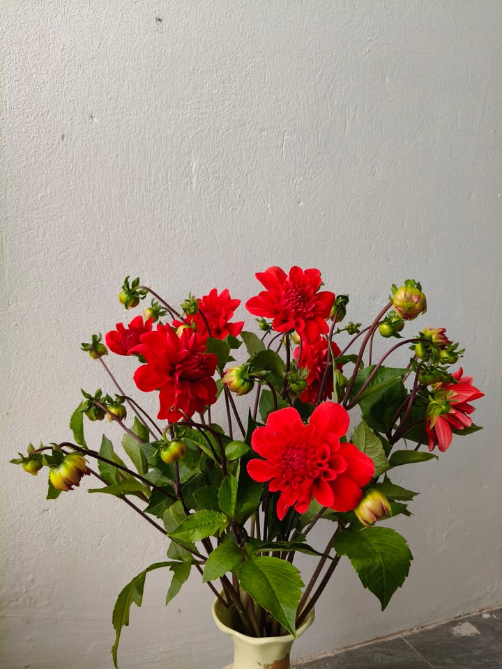 Căn hộ Green Park Việt Hưng 2PN - Bàn giao ngay!