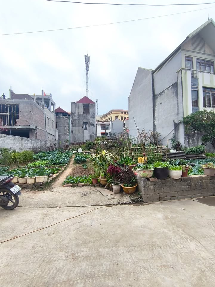 Đất nền Lộc Bình, Lạng Sơn 241m² - Sổ đỏ chính chủ