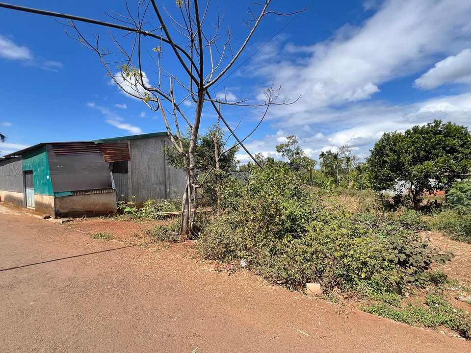 Bán Gấp 3 Lô Đất KOMLEO - Hoà Thắng, Đắk Lắk | 675m² | 1.1 Tỷ