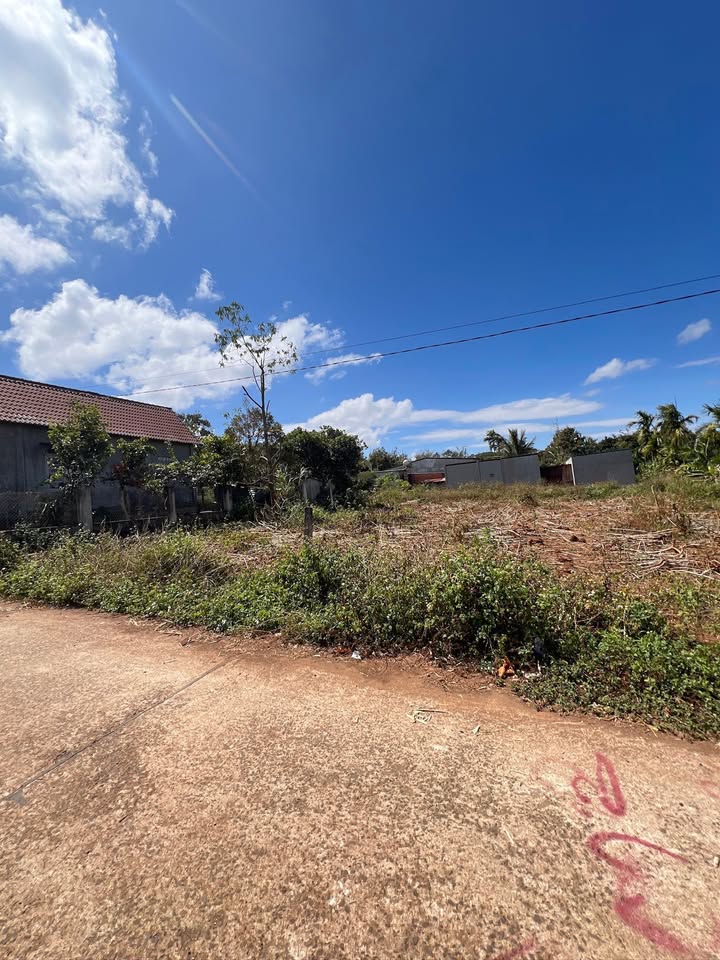 Đất Vàng Buôn Komleo, BMT - 550m² Thổ Cư, Sổ Đỏ Riêng