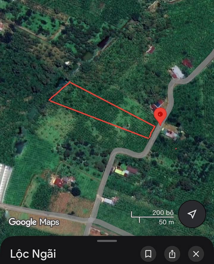 Đất nền Lộc Ngãi Bảo Lâm 1228m² - Tiềm năng tăng giá cực tốt!