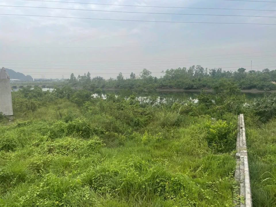 Đất nền Đại Yên, Quảng Ninh 1572m² - Sổ đỏ chính chủ, giá đầu tư