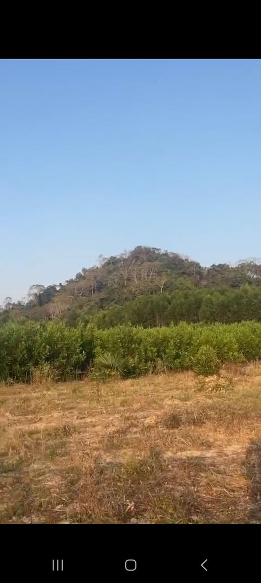 Đất nền Bình Châu 9.7ha - Sổ đỏ chính chủ, giá tốt đầu tư!