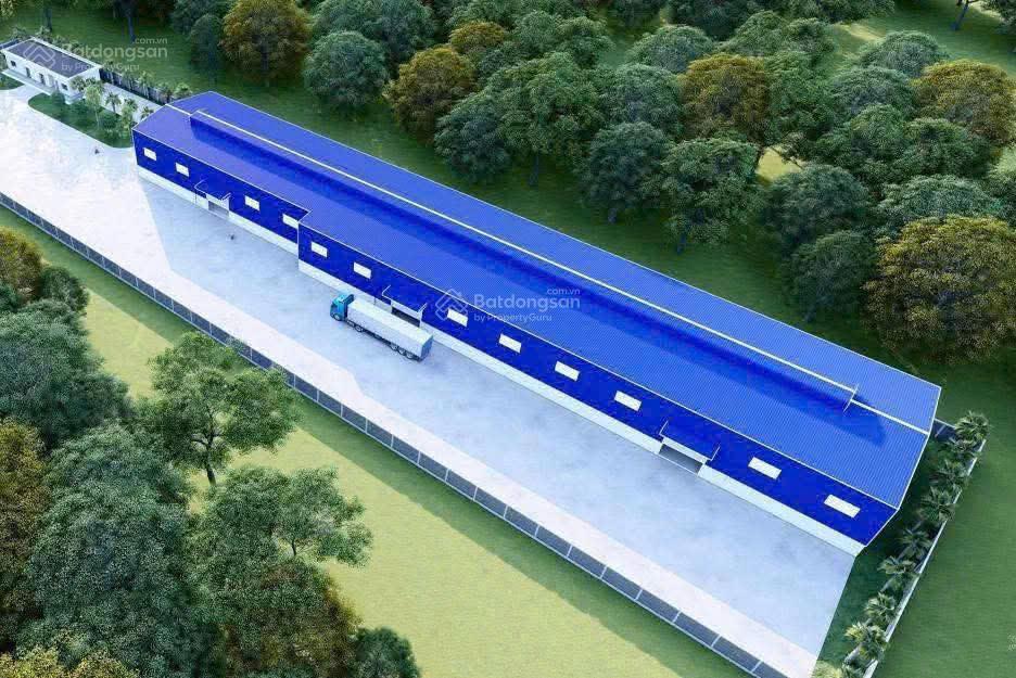 Kho xưởng Bến Cát 2564m² - Container thoải, sẵn sàng!