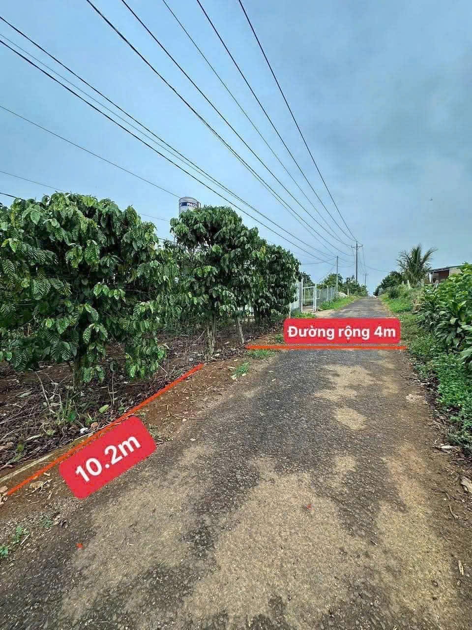 Đất nền Hẻm 203 Nguyễn Viết Xuân Bảo Lộc 502m² - Tiềm năng tăng giá