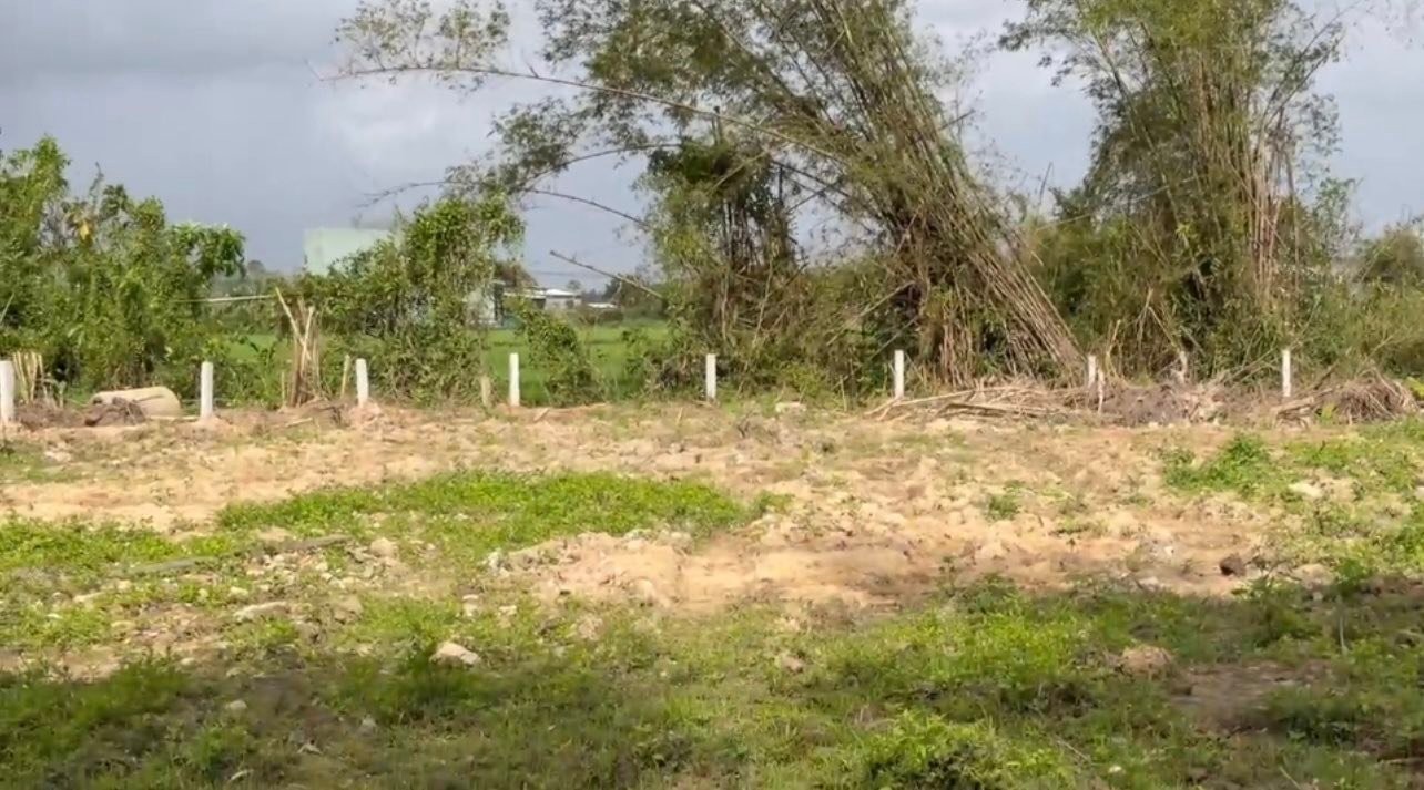 Đất Vườn Bình Tú, Thăng Bình 980m² – Đầu Tư Dài Hạn, Sinh Lời Ngay!