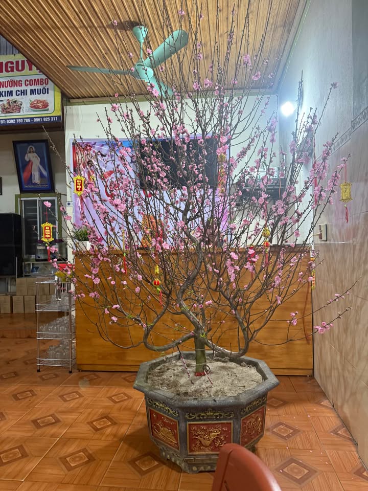 Đất nền Nam Thái 212m² - Sổ đỏ chính chủ, tiềm năng sinh lời!