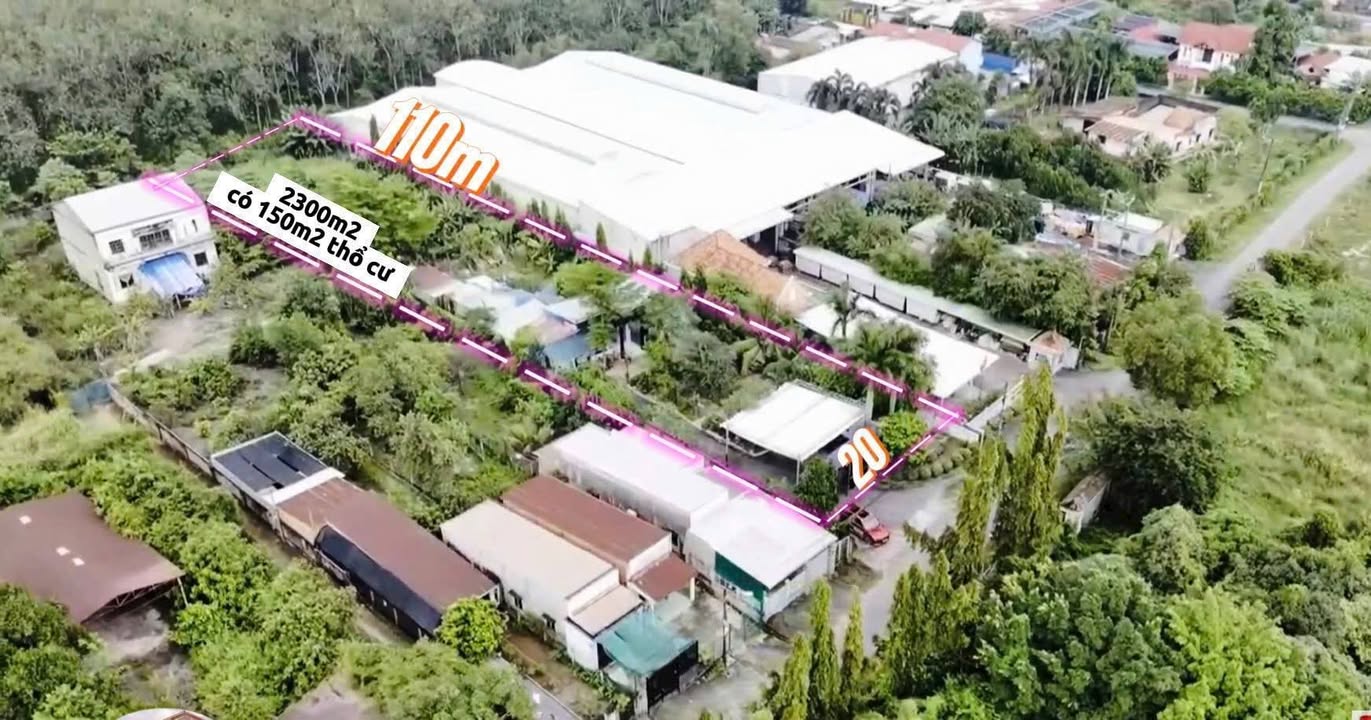 Bán Gấp Nhà Vườn 2338m² Phú Hòa Đông, Củ Chi - Giá Tốt Cuối Năm