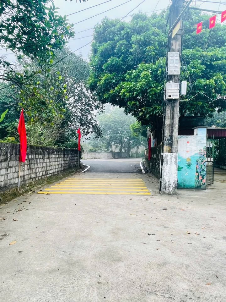 Đất Nền Tam Điệp Ninh Bình 81m² Sổ Đỏ Full Thổ Cư - Giá 13 Tỷ