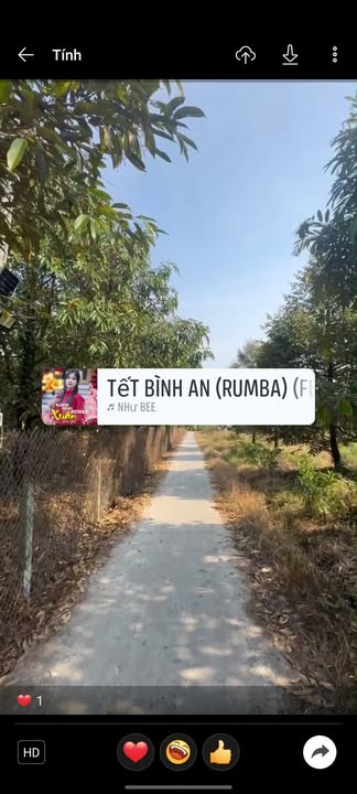 Bán Đất Vườn Cái Bè 2.860m² - Nghỉ Dưỡng Lý Tưởng, Sầu Riêng Thu Hoạch Ngay