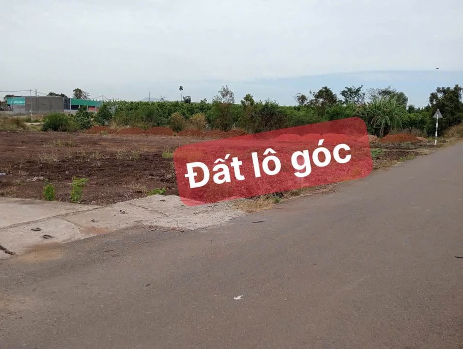 Đất nền Gò Vấp 223m² giá 750 triệu - Sổ đỏ chính chủ, lô góc đẹp!