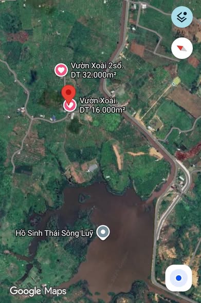 Bán gấp Farm 15.981m² Xã Sông Lũy, Bình Thuận - Giá ngộp