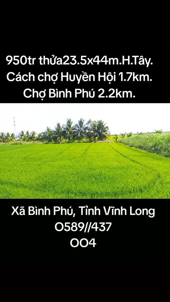 Bán Đất Nền 1220m² Mặt Tiền Hương Lộ 6, Trà Vinh - Giá 950 Triệu