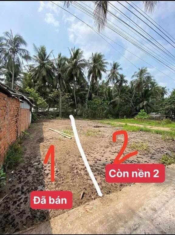 Bán Nền 160m² Tân Bình, Bến Tre - Sổ Sẵn Giá 290 Triệu, Sẵn Sàng Giao Dịch