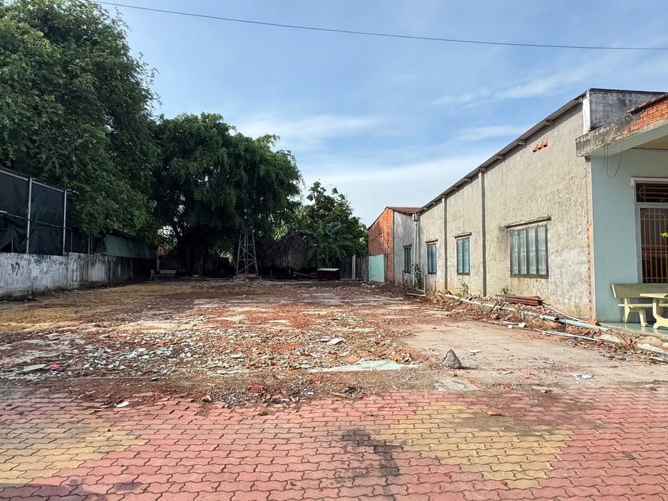 Mặt Tiền Trần Ngọc Lên, Thủ Dầu Một - Kinh Doanh Đắc Lợi 5x27m, Giá 5.2 Tỷ