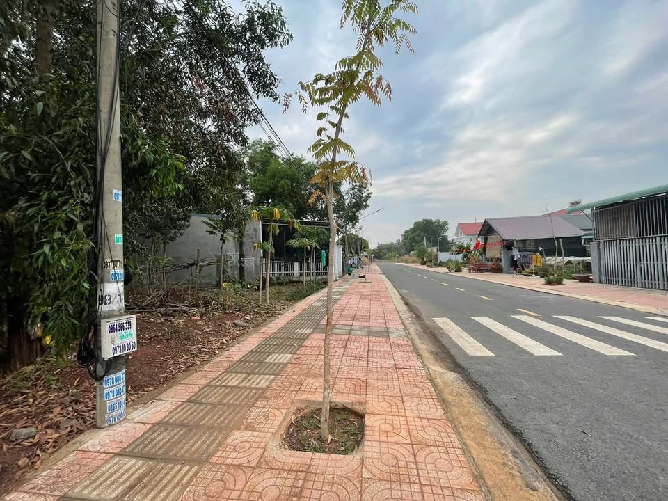 Đất nền Tân Phú Đồng Phú 2366m² giá 2 tỷ - Lô góc, thổ cư 100%!