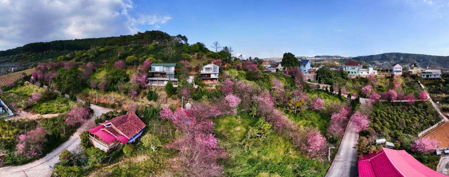 Đất Nền Cầu Đất Đà Lạt 372m² - Lô Cuối Cùng, Sẵn Sàng Khai Thác Dòng Tiền