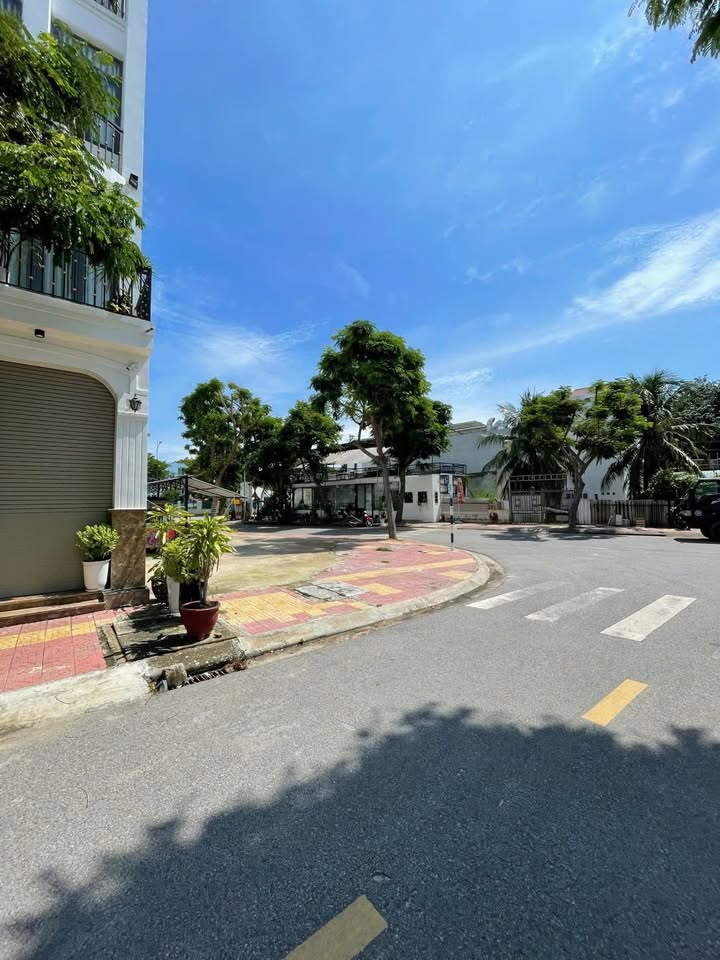 Đất Vàng Mặt Tiền Vũ Trọng Phụng, Phan Rang - 100m², Kinh Doanh Sầm Uất