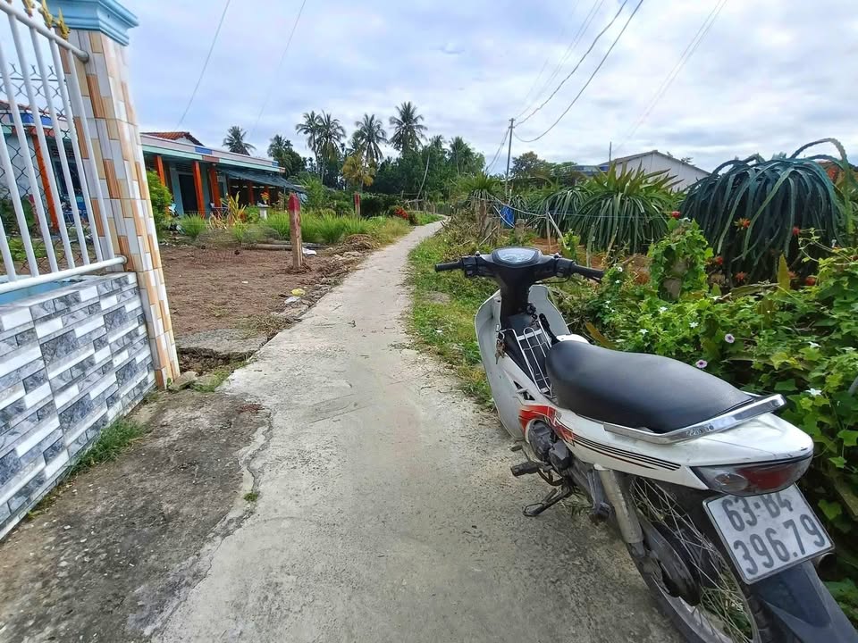 Đất nền Chợ Gạo Tiền Giang 295m² giá 240 triệu - Sổ đỏ chính chủ!