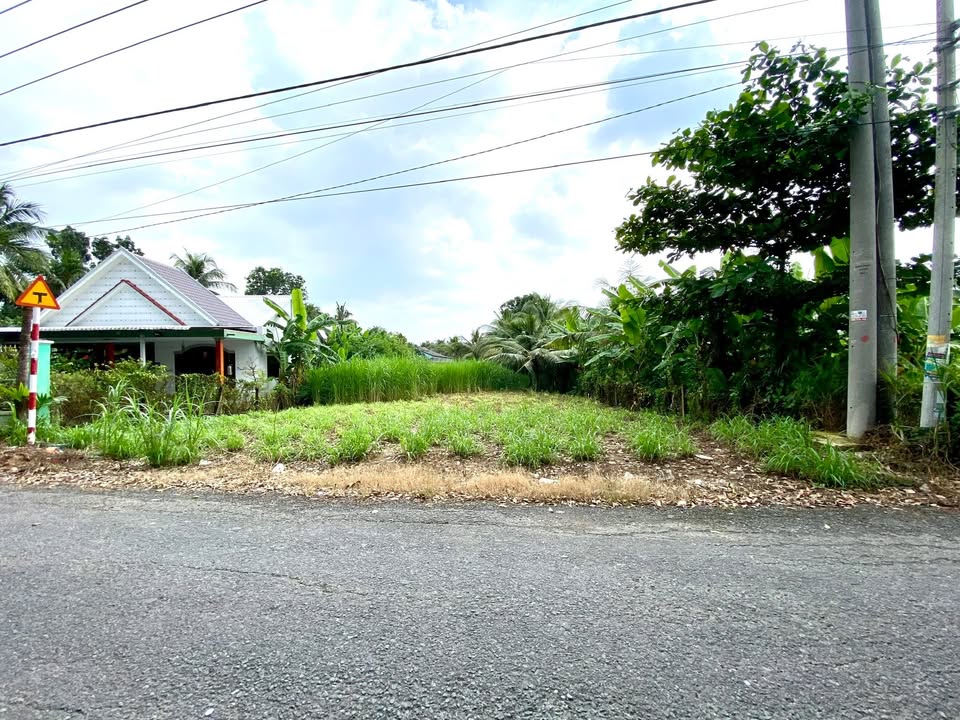 Đất Vườn Mỹ Phong Tiền Giang 922m² Mặt Tiền Huyện Lộ 91 - Nghỉ Dưỡng Lý Tưởng