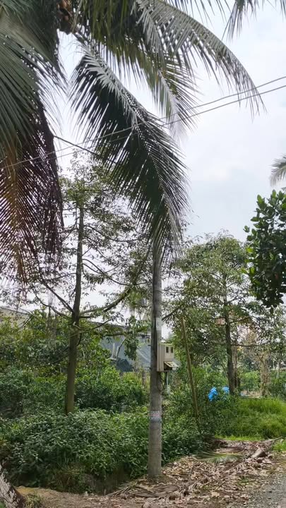 Đất Vườn 2300m² Đồng Tháp - Hai Mặt Tiền, Giá 1.7 Tỷ