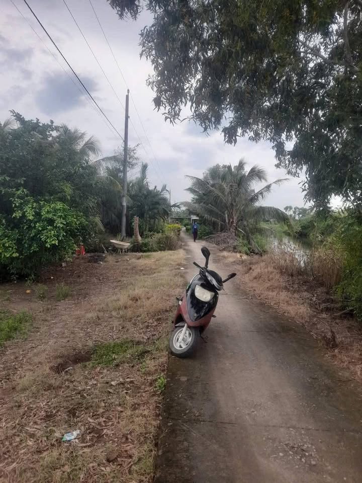 Đất Vuông Tôm Bạc Liêu 13.000m² - Dòng Tiền Ổn Định 40 Triệu/Năm!