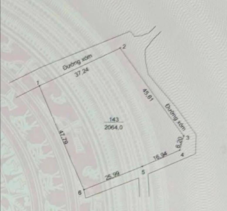 Bán Gấp Đất Vàng Ba Vì 2064m² - Sổ Đỏ Chính Chủ, Đường Vòng Quanh Đất