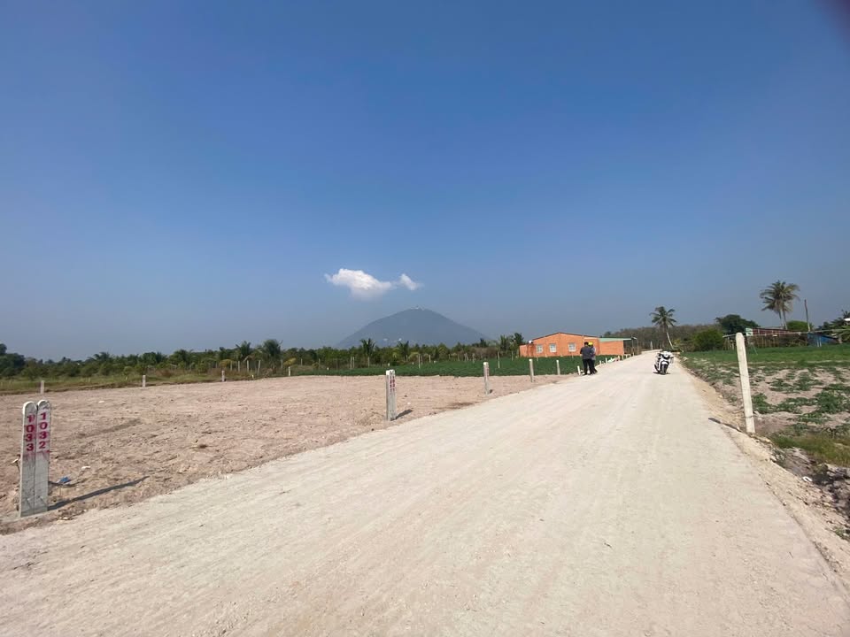 Đất Nền Dương Minh Châu 192m² Sổ Đỏ Full Thổ Cư - Giá Tốt 359 Triệu