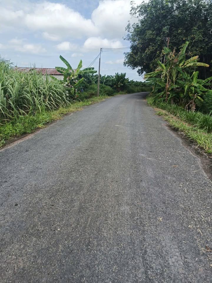 Đất nền Tân Đông, Tân Châu 1000m² - Mặt tiền đường lớn 20m, tiềm năng cao!