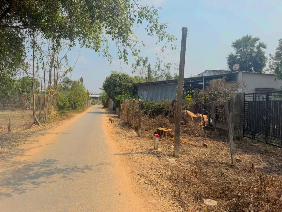 Đất Nền Gò Dầu 292m² Sổ Hồng Sẵn - Tặng Hàng Rào Cổng Kiên Cố