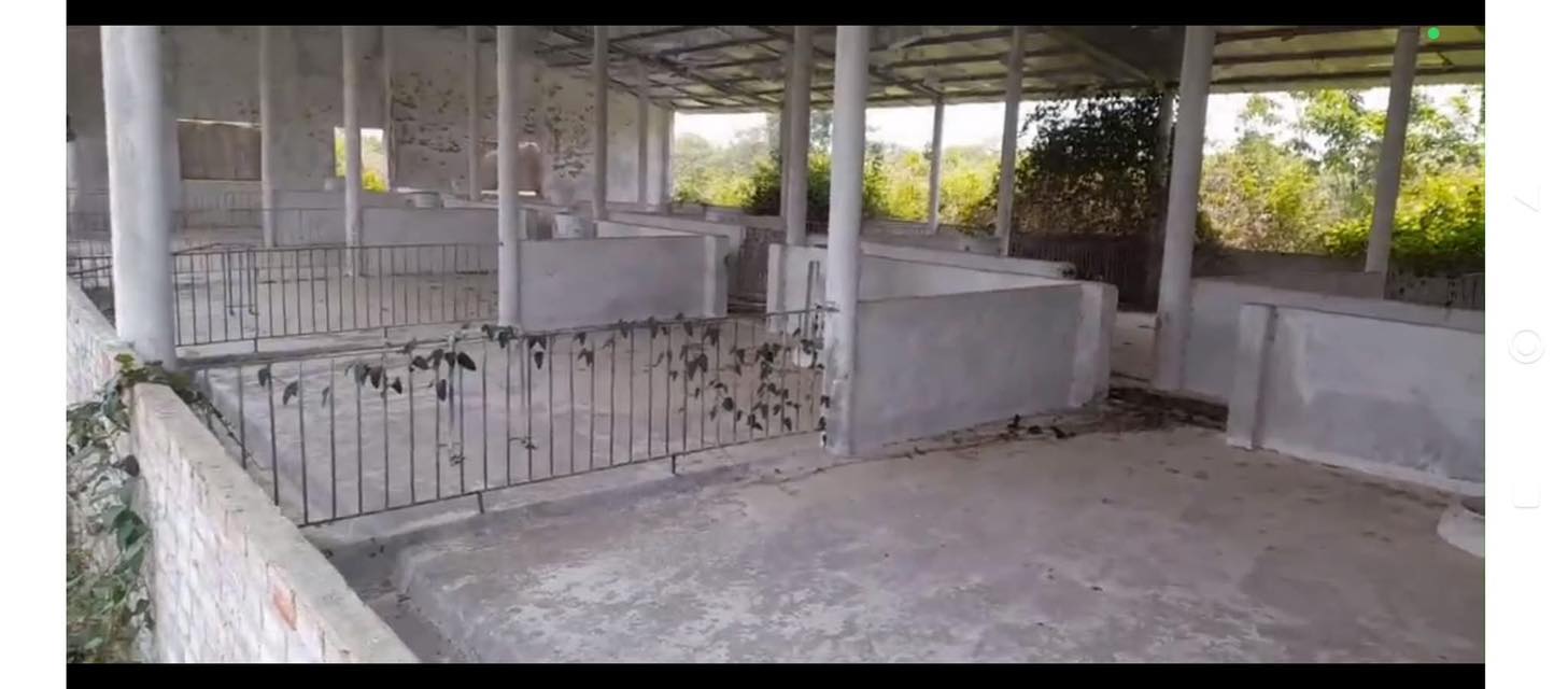 Đất nền Ea Ô, Ea Kar, Đăk Lăk 1.7ha giá 3 tỷ - Sổ đỏ chính chủ