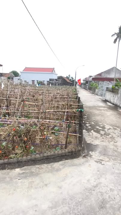 Đất Lô Góc View Sông Âm Sa, Nghĩa Phú 252m² - Giá 1.5 Tỷ