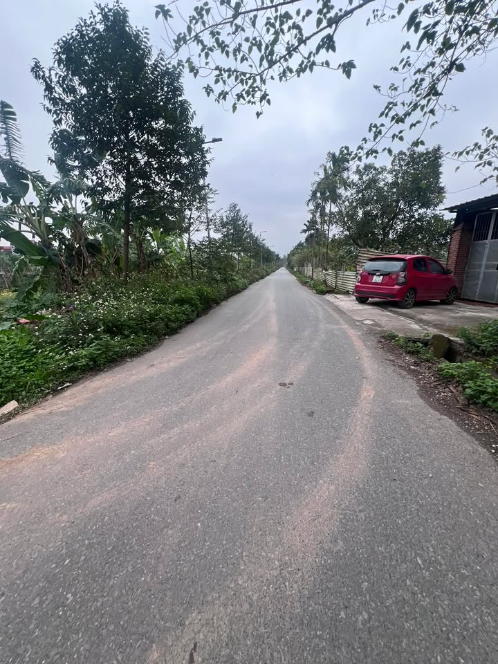 Đất nền Kim Sơn, Gia Lâm 50m² sổ đỏ - Đường ô tô, giá hơn 3 tỷ