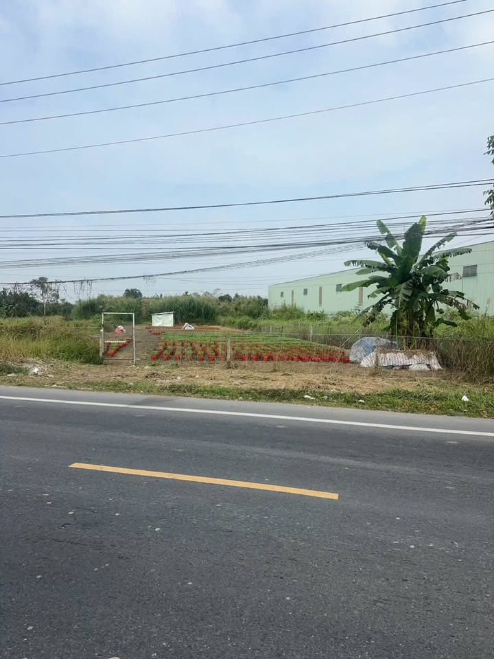 Đất Mặt Tiền QL61C Phong Điền 1968m² Giá 8.5 Tỷ - Sổ Đỏ Chính Chủ