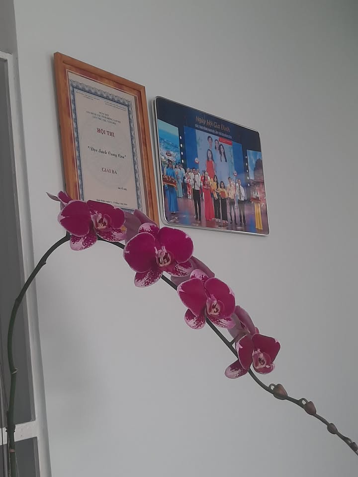 Đất nền Hàm Mỹ 500m² giá 2.05 tỷ - Sổ đỏ chính chủ sẵn sàng