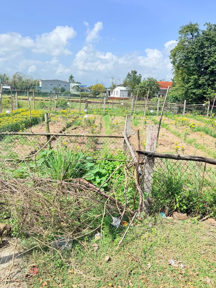 Đất Nền Mặt Tiền Trục Chính Điện Bàn 96m² - Giá Chỉ 1.6 Tỷ