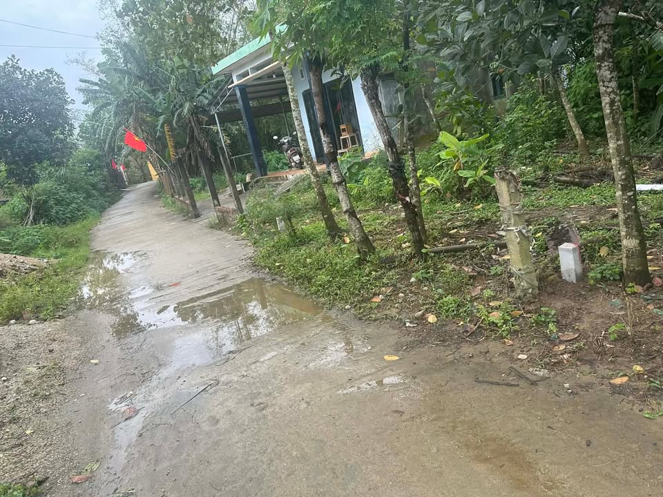 Mặt Tiền Kinh Doanh Lạc Long Quân, Quảng Nam - 110m² Giá 6 Tỷ