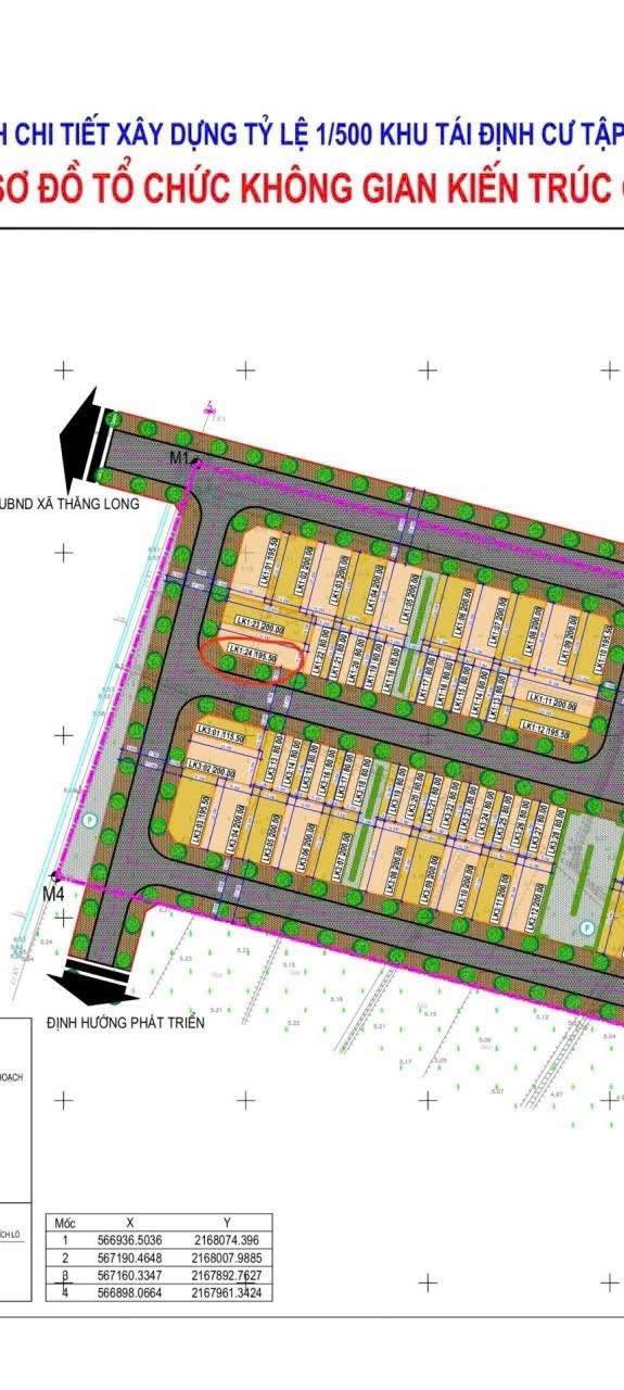 Đất nền Xã Thăng Long, Nông Cống 200m² - Tiềm năng tăng giá vượt trội!