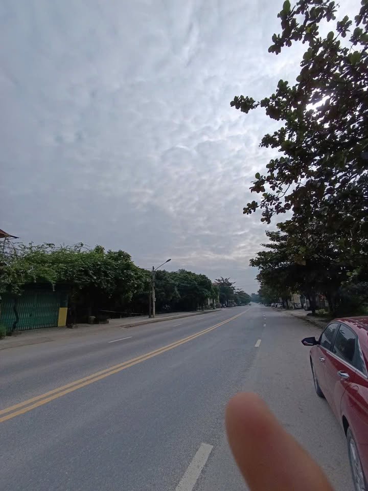 Đất nền Kim Sơn, Ninh Bình 90m² - Kinh doanh đắc địa QL 12B