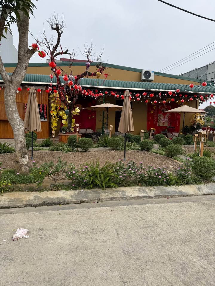 Đất nền Phường Nam Thành, Hoa Lư 96m² - Sổ đỏ chính chủ