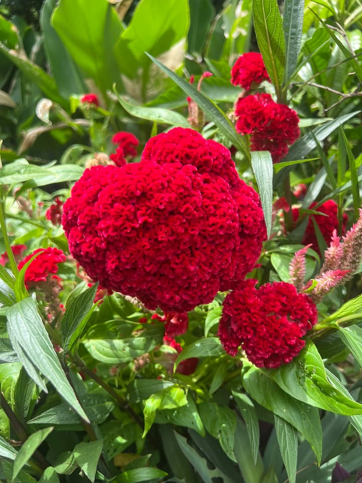 Đất nền Liên Bảo, Vụ Bản 160m² - Đường to ô tô, tiềm năng tăng giá