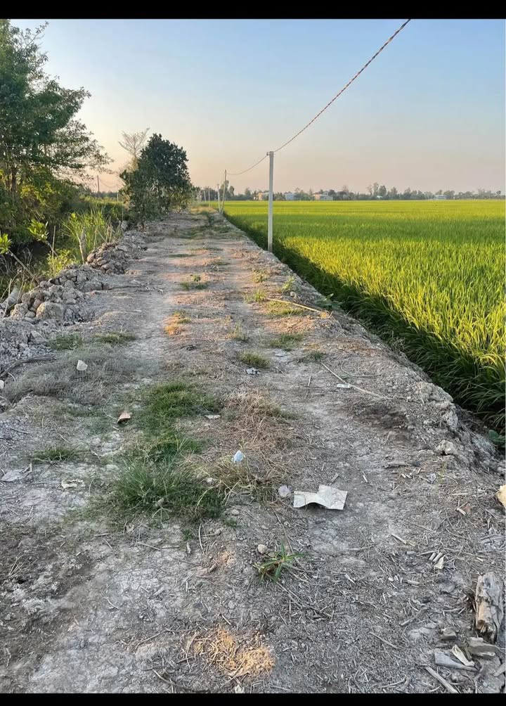 Đất Vườn 3249m² Đồng Tháp - Mặt Tiền 96m, Gần Chợ