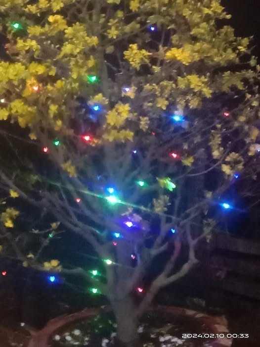 Đất nền Xuân Lãnh Phú Yên 300m² giá 750 triệu - Sổ hồng sẵn!