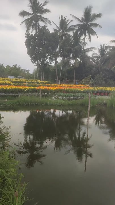 Bán đất nền An Thới Bình Thủy 138m² - Sổ đỏ chính chủ, xây dựng ngay!