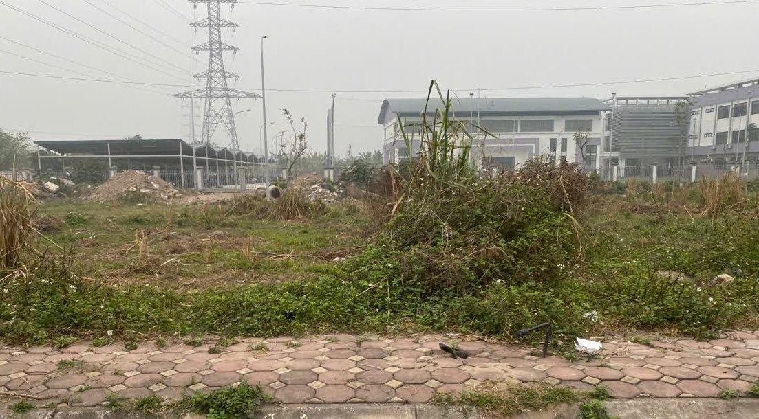 Đất nền Sáp Mai Đông Anh 61.5m² - Sổ đỏ chính chủ, tiềm năng tăng giá!