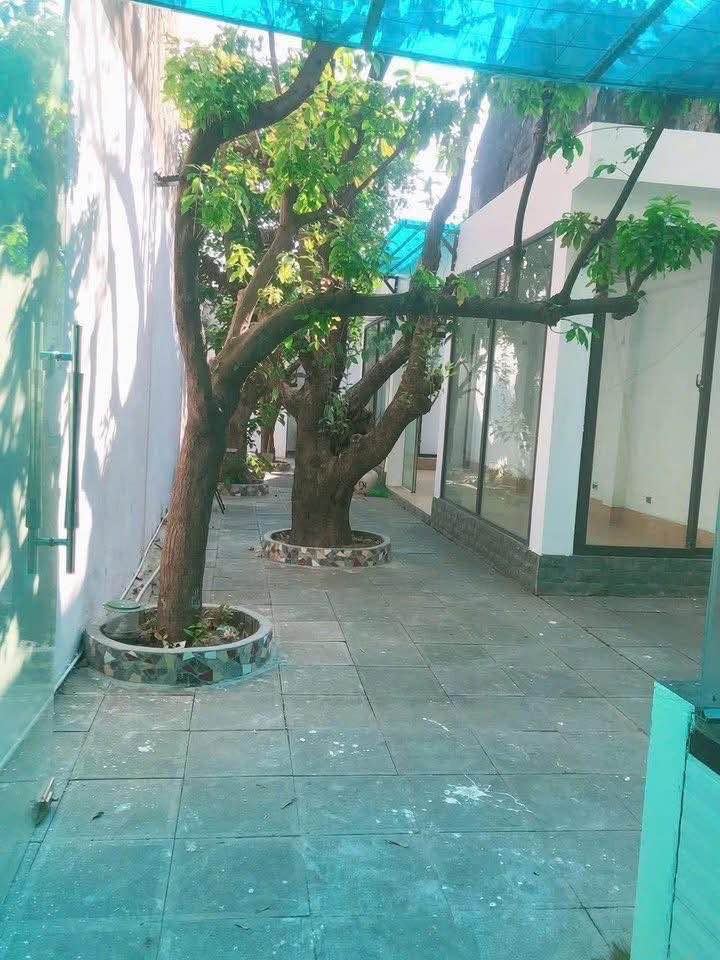 Nhà Phố Hàng Sắt Nam Định 245m² - Đầu tư sinh lời ngay!